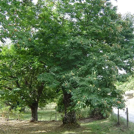 Κατάλυμα σε φάρμα Sorripe *