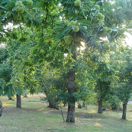 Farmház Sorripe *