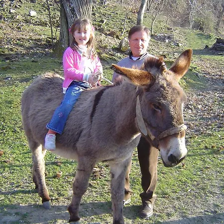 Sorripe Κατάλυμα σε φάρμα Montelaterone